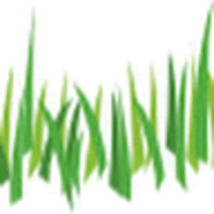 Meet your Posher, Brad